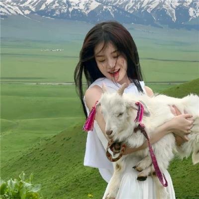 巨齿鲨 在线观看